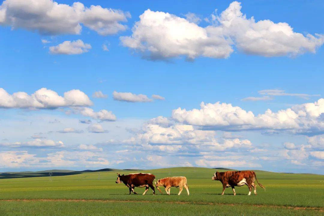 比巴黎浪漫,比俄罗斯童话,中国"最北"藏着一座宝藏城市_满洲