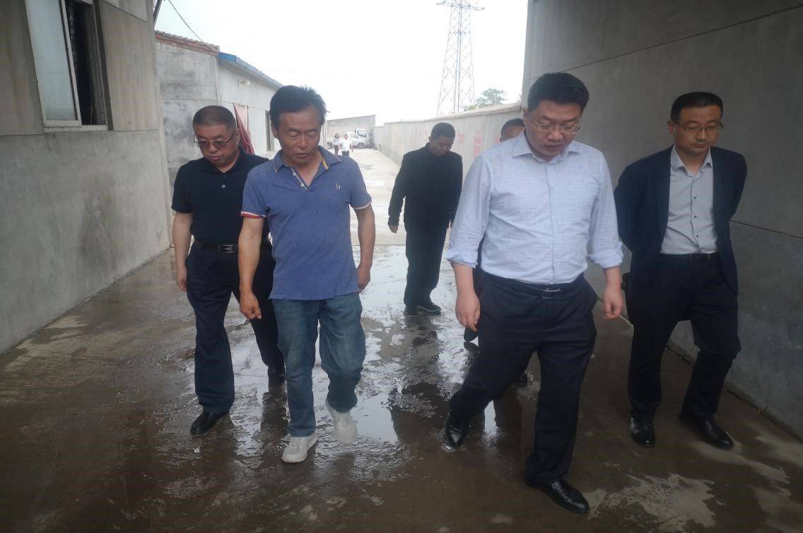 宝鸡市凤翔区领导现场督导省委生态环保督察组转办的反馈信访问题整改