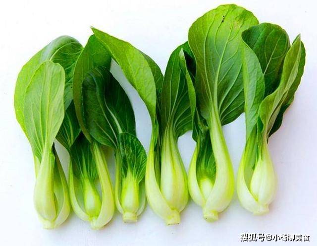 蒜什么时候熟 36086fd7f8c441dab4986b1d499ab807.jpeg