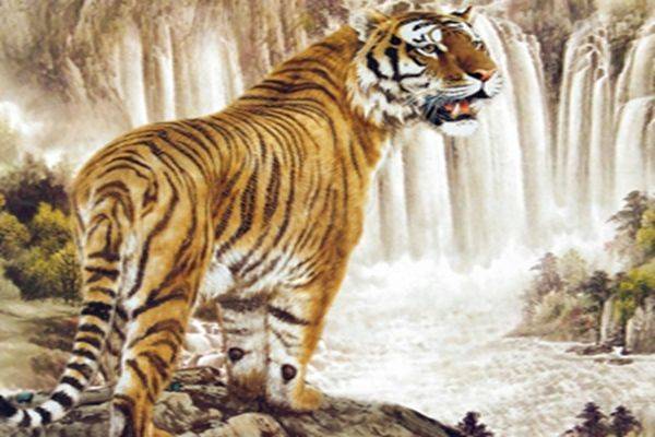 三十的女人像老虎 4e1167e0550f4af2abe0c562cc2e991f.jpeg