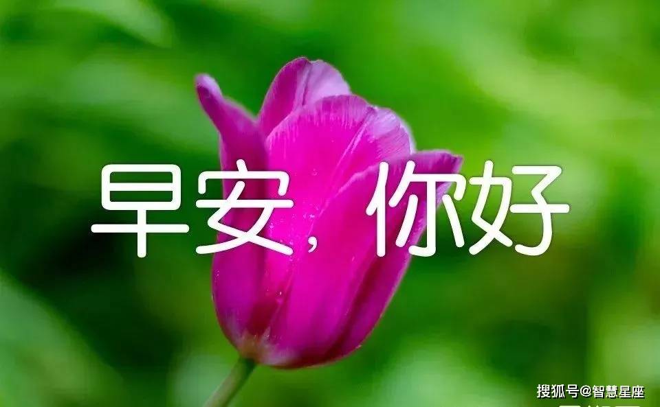 原创5月19日初夏群发微信朋友们早上好问候语图片动态的表情图片早晨