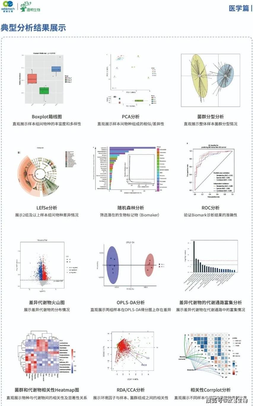 微生物16s測序 gc-ms代謝組學/lc-ms代謝組學助力組學發文快