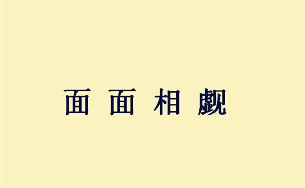 什么什么什么涯成语_好夫涯妇成语书法图片(3)