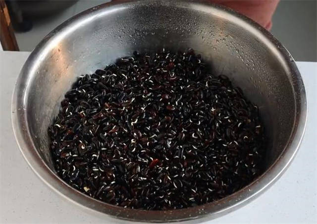 在家怎么发豆芽才不会烂 6c743c66cc7c450ea60656211af37877.jpeg