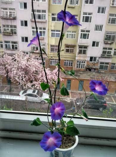 0feb7f9c8808410ea494d87a536ce496.jpeg