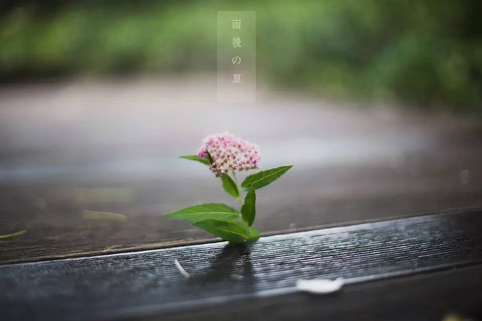 真正的爱是自私还是无私 4debf08e57424b99833ab44ac32cc180.jpeg