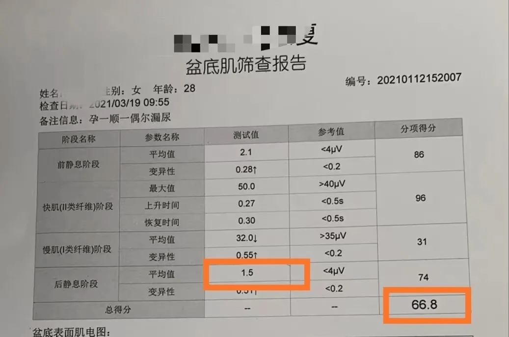 (3)训练方案:盆底筛查报告分数仅有45.