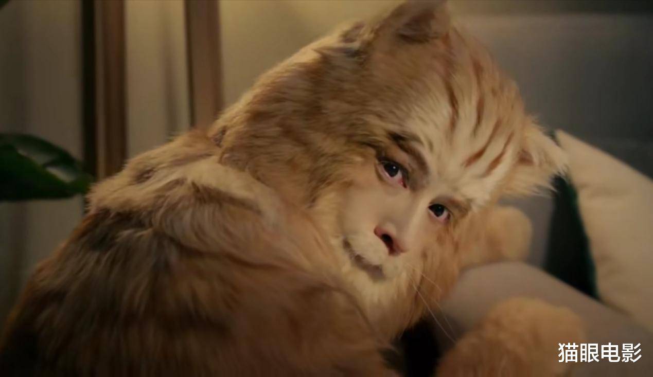 39岁胡歌演16岁老猫全身沾满黄毛往地上蹭男神卖萌太拼了