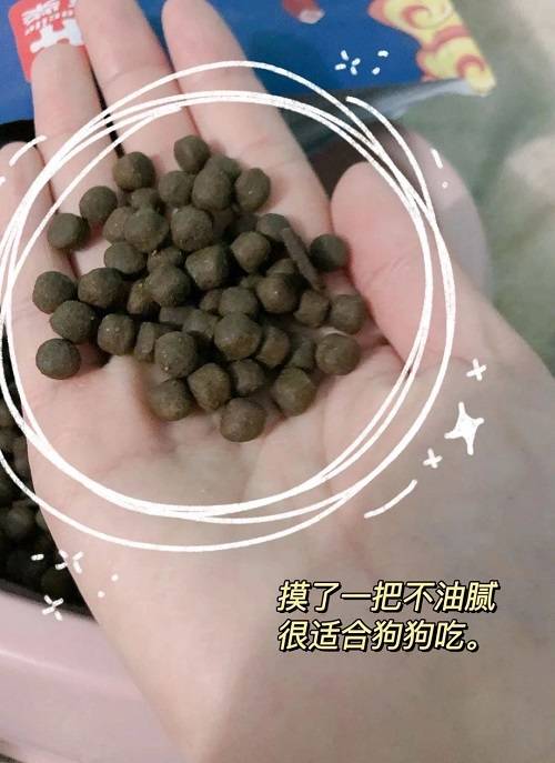 98含肉量的豆柴猫粮实测高分靠谱猫粮又多一款