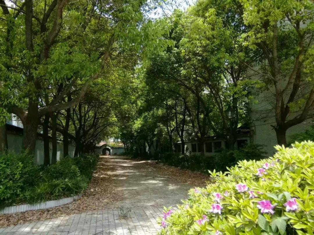 工作从苏北调到江南的一个古镇中学—吕城中学