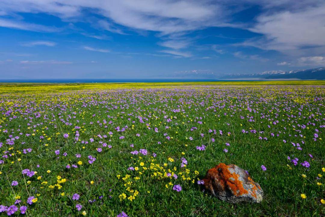 伊犁河谷 承载了夏天的期待 是旅行者的梦想之地 草原