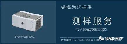 信息|电子顺磁共振波谱仪（EPR）丨生物医学应用