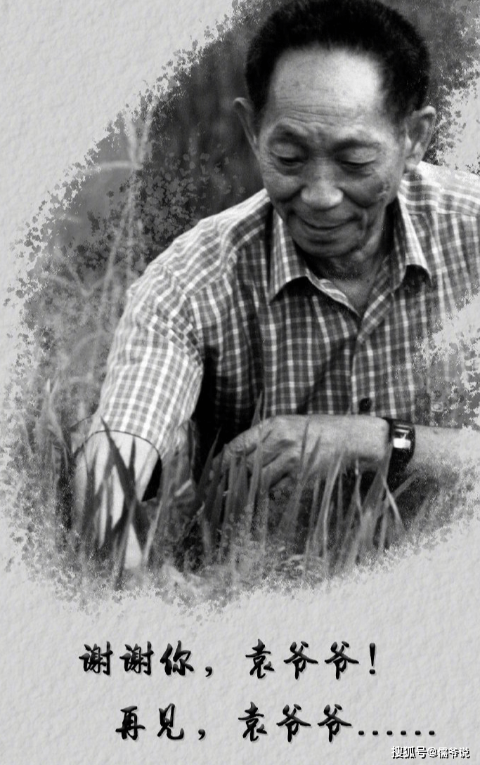 宣传|袁隆平院士去世，虞书欣还在抢热搜，惹众怒后，工作室发声道歉