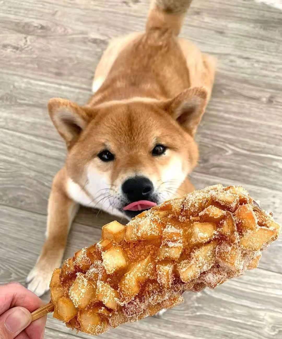 b7c9fbfa2c484e86b2c6f788cc8f7fdd.jpeg