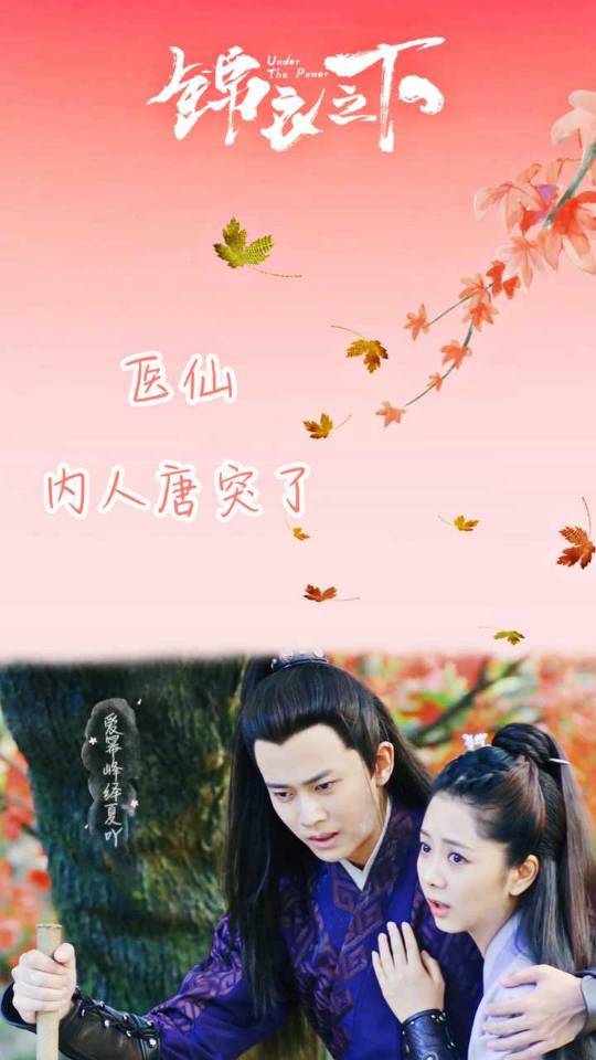 《锦衣之下》之先婚后爱35:陆绎称今夏为内人,因吃醋而公开身份