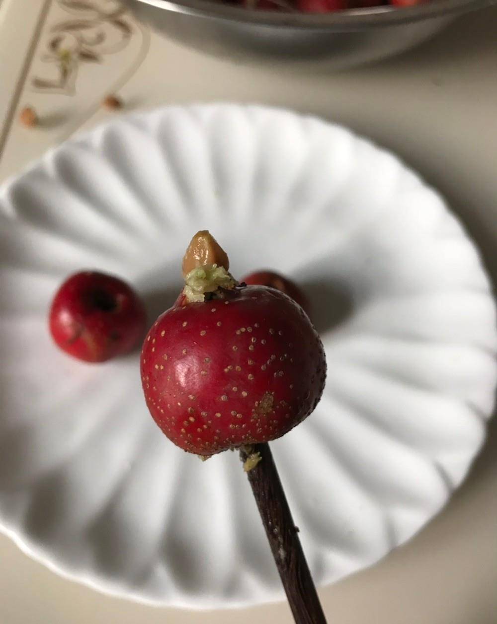 怎么做山楂罐头好吃窍门 40f93658c4bc4b6b81e5c79494fb809d.jpeg