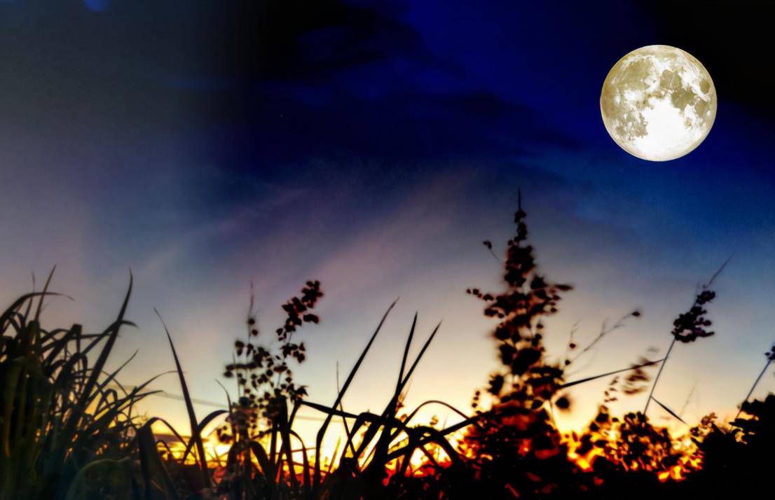 俗语 闰七不闰八 闰八过刀杀 闰八月怎么了 哪一年是闰八月 闰月