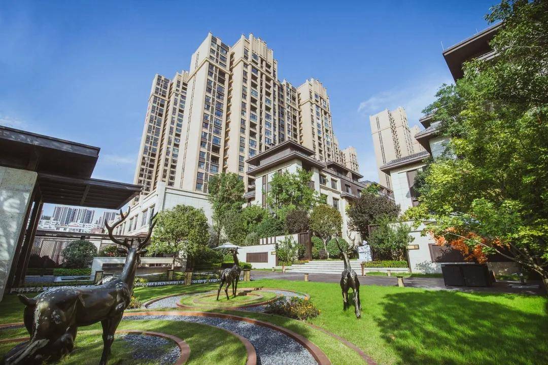 原创中国三迪探秘宝鸡项目销冠团队突出业绩引领打造高效团队