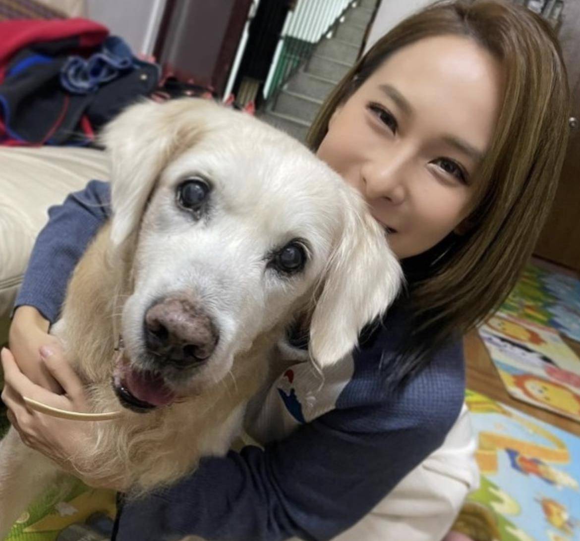 tvb艺人李旻芳心疼爱犬将离世斥资700万换房珍惜最后相伴时光