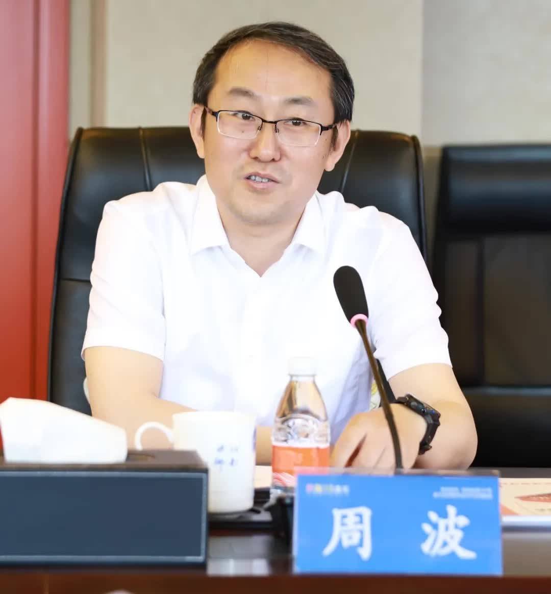 天津市河东区委副书记区长周波调研盘石