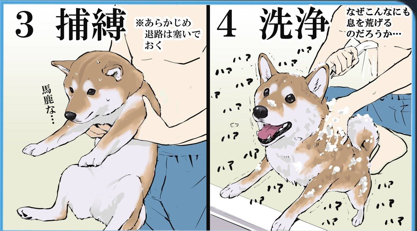 图片[2]-日本画师分享给狗狗洗澡的全过程，各种逃跑可太真实了-魔性次元