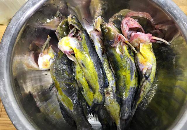 原创补钙护肝又护心嘎鱼的客家特色做法味美不腥出锅越吃越过瘾