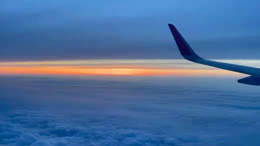 findx3系列样张鲨人画质清晰自然视觉冲击力十足