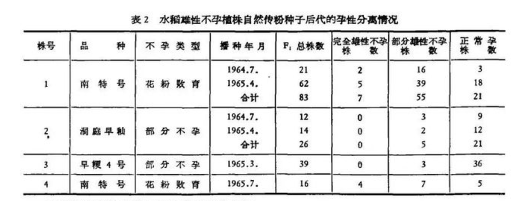 55年前袁隆平首篇4页的论文 却让几亿人吃饱饭 改写了水稻的历史 深度解析 植株