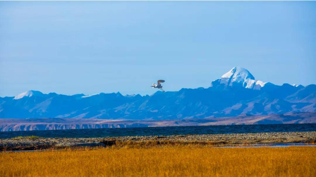 30幅图片,带你感受一个多彩的阿里