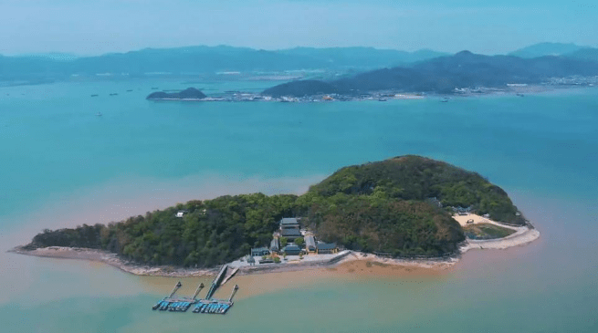 宁海强蛟"入山听海"亲子徒步活动顺利举行_强蛟镇