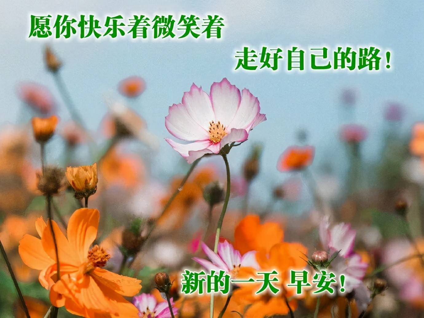 教师节微信朋友圈祝福语大全_小学生教师节祝福老师的一句话 - 齐齐哈尔诗词网