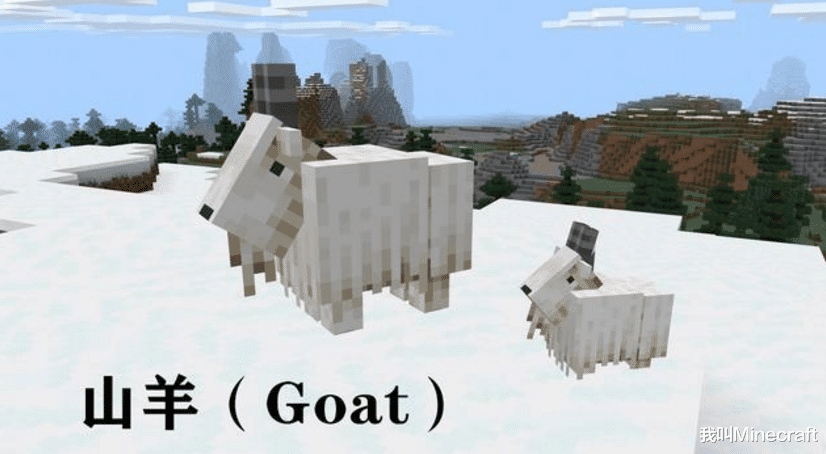 1 17新生物篇 Minecraft 蝾螈 山羊 发光鱿鱼有什么巨大作用 美西