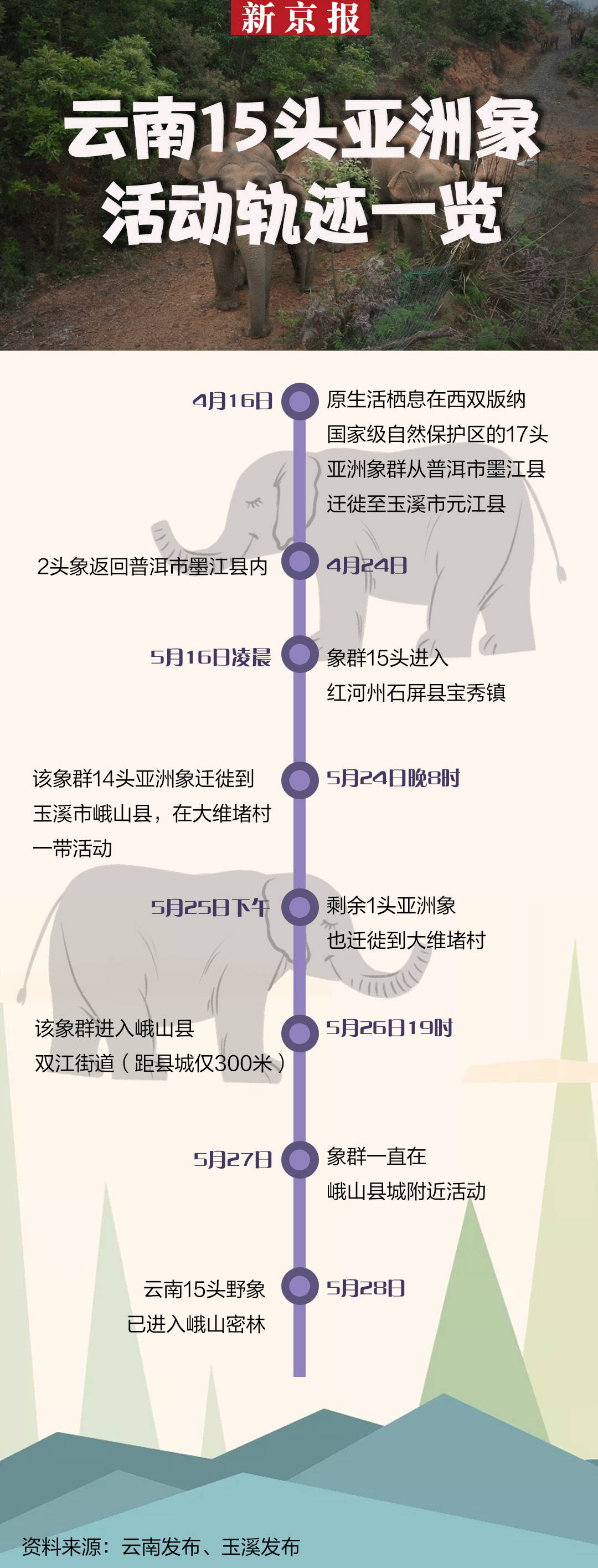 北迁野象群40余天路程达400公里