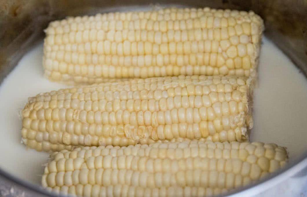 品质差的玉米能吃吗 1aa1b52c712243d8a8ade7b1a5862c3a.jpeg