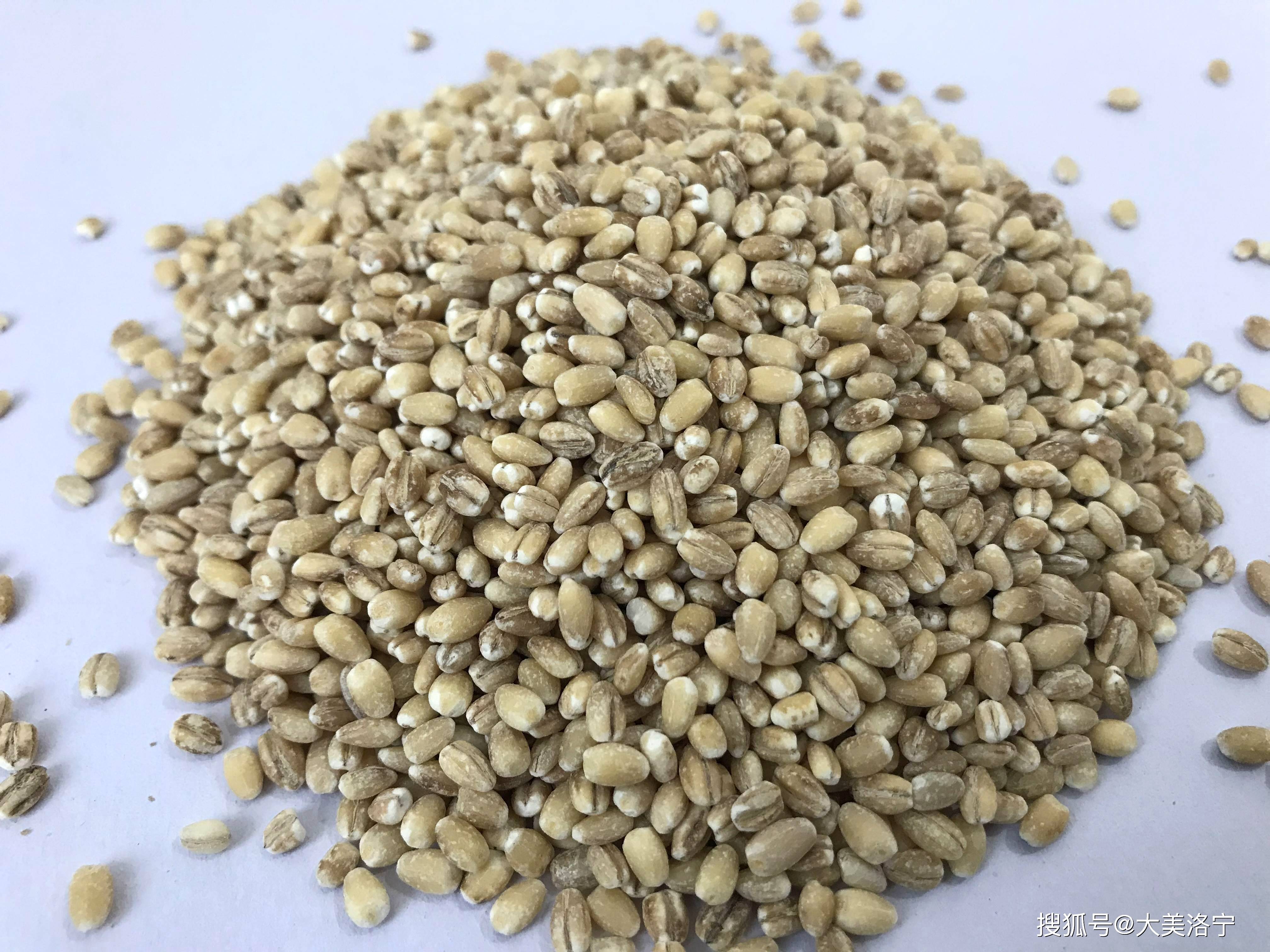 小穗两侧扁平,有芒或无芒颖果即麦粒按播种期分冬小麦和春小麦世界