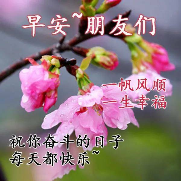 原創願你一天的生活快樂安詳願你以後的日子幸福吉祥早安祝福語錄