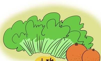 宝宝适合吃的叶酸推荐 7e2e07fd37124826b538c664c4f18c1f.jpeg