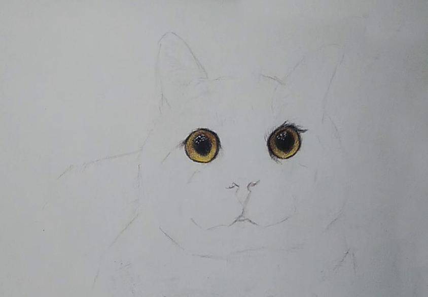 怎么画可爱的小猫头发 279903d4228e4f5b8dde3c08989eefc2.jpeg
