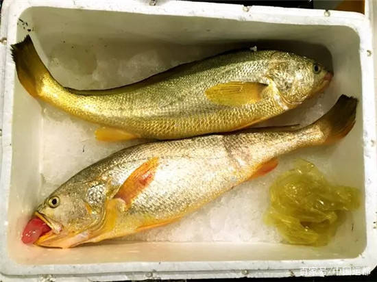 威海运都鲜推荐好山好水好鱼