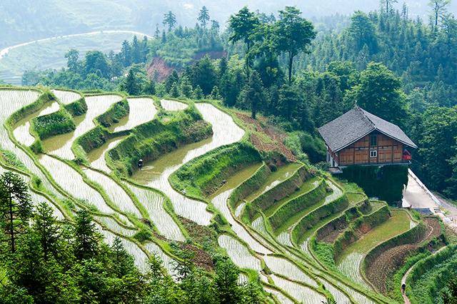 湖南约多少人口_湖南人口图(3)