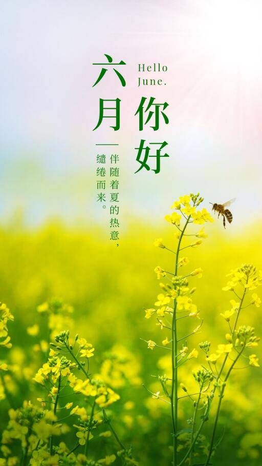 六月祝福短信大全
