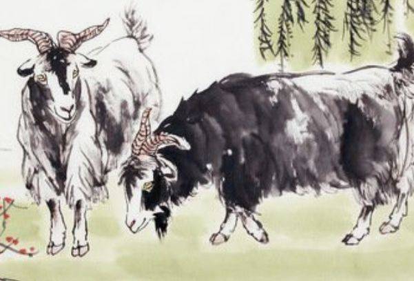 卑躬屈膝是什么生肖打一个生肖，仔细诠释解释