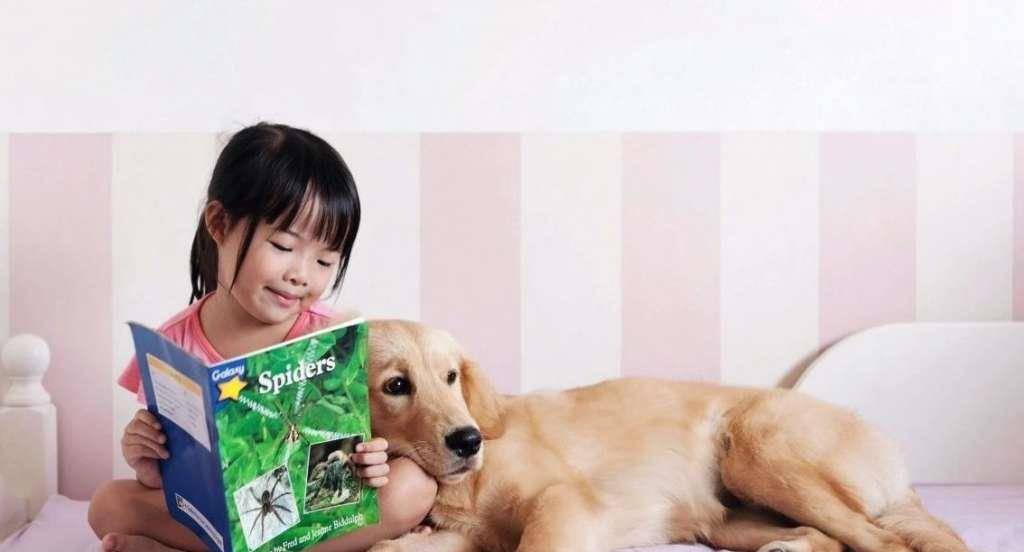 8d1db566bacf4cf589197c6ca391d5d8.jpeg