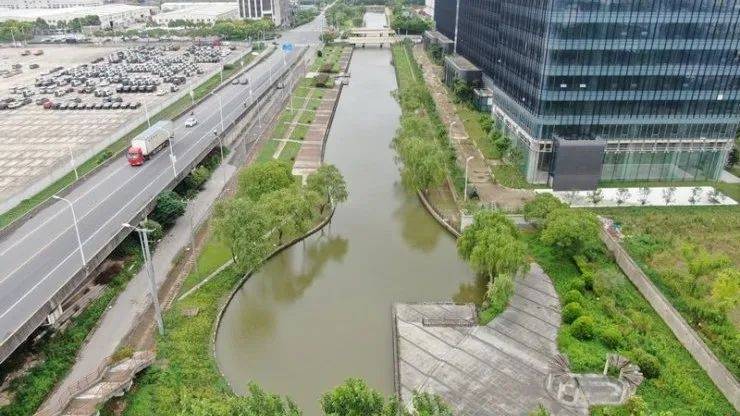 赵丽娜,蔡翔浦东"最美河道"展示 浦东新区 赵家沟(金京路-申江路)