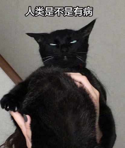 62198a30b34f4f2e8521cc0ac295618d.jpeg