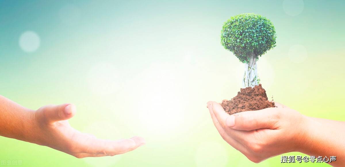 跟他一起去栽花,让他体验到种子破土而出的力量.