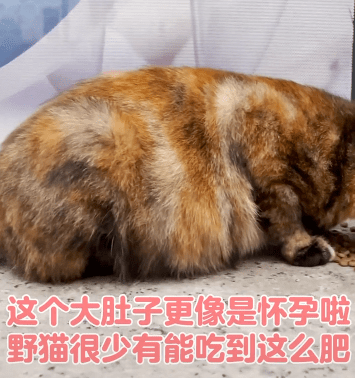 75482765ec8c4d7184d6ce176b3abfca.png
