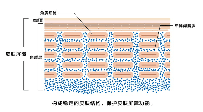 敏感曲谱