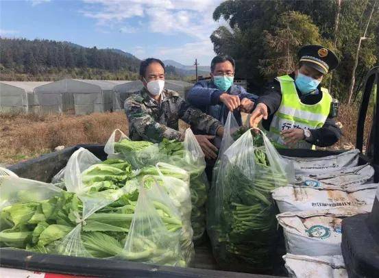 腾冲人口2020年_漠河腾冲一线人口图片(2)