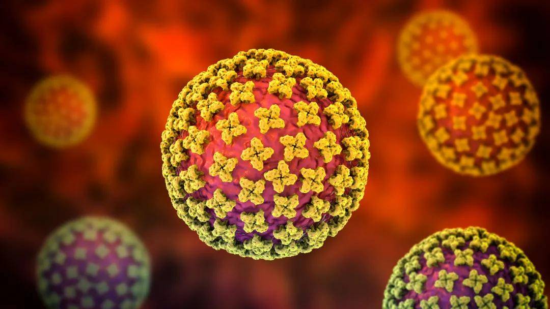 新病毒来袭 死亡率高达40 美国确诊首例感染者 症状与新冠相似 疾病